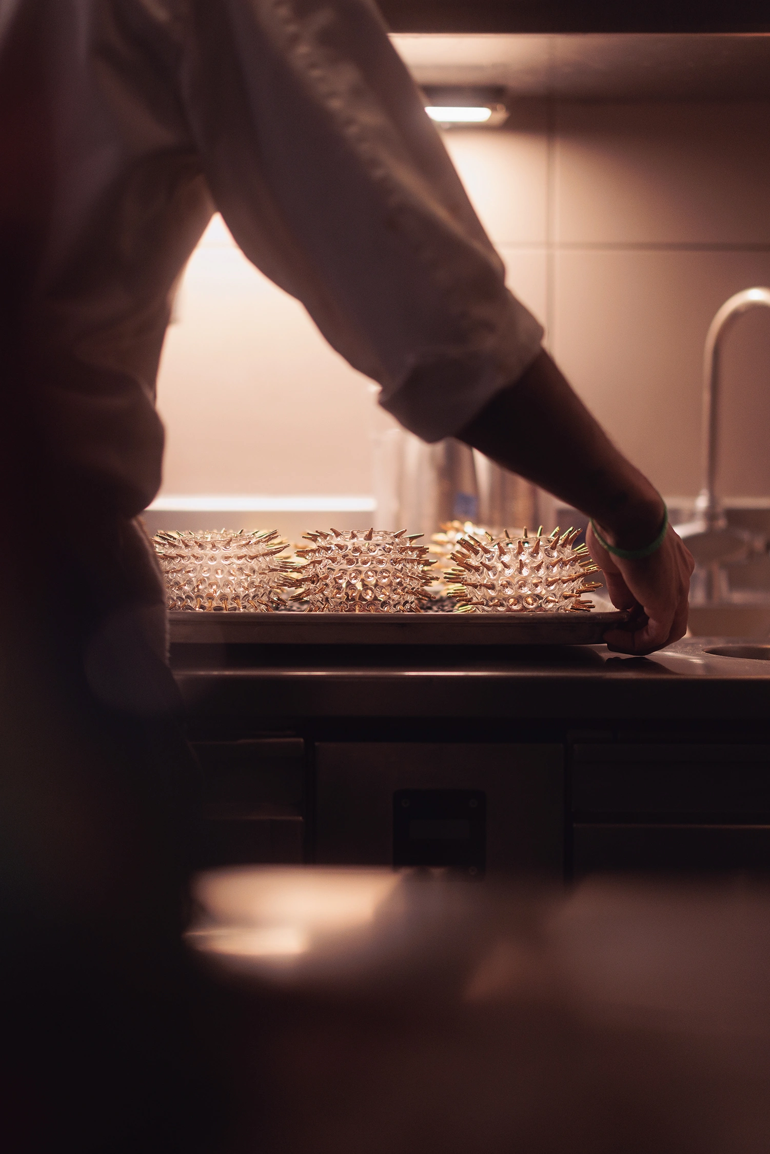 Alinea Grant Achatz Portrait Photography 5 photograph by Kevin Blackwell