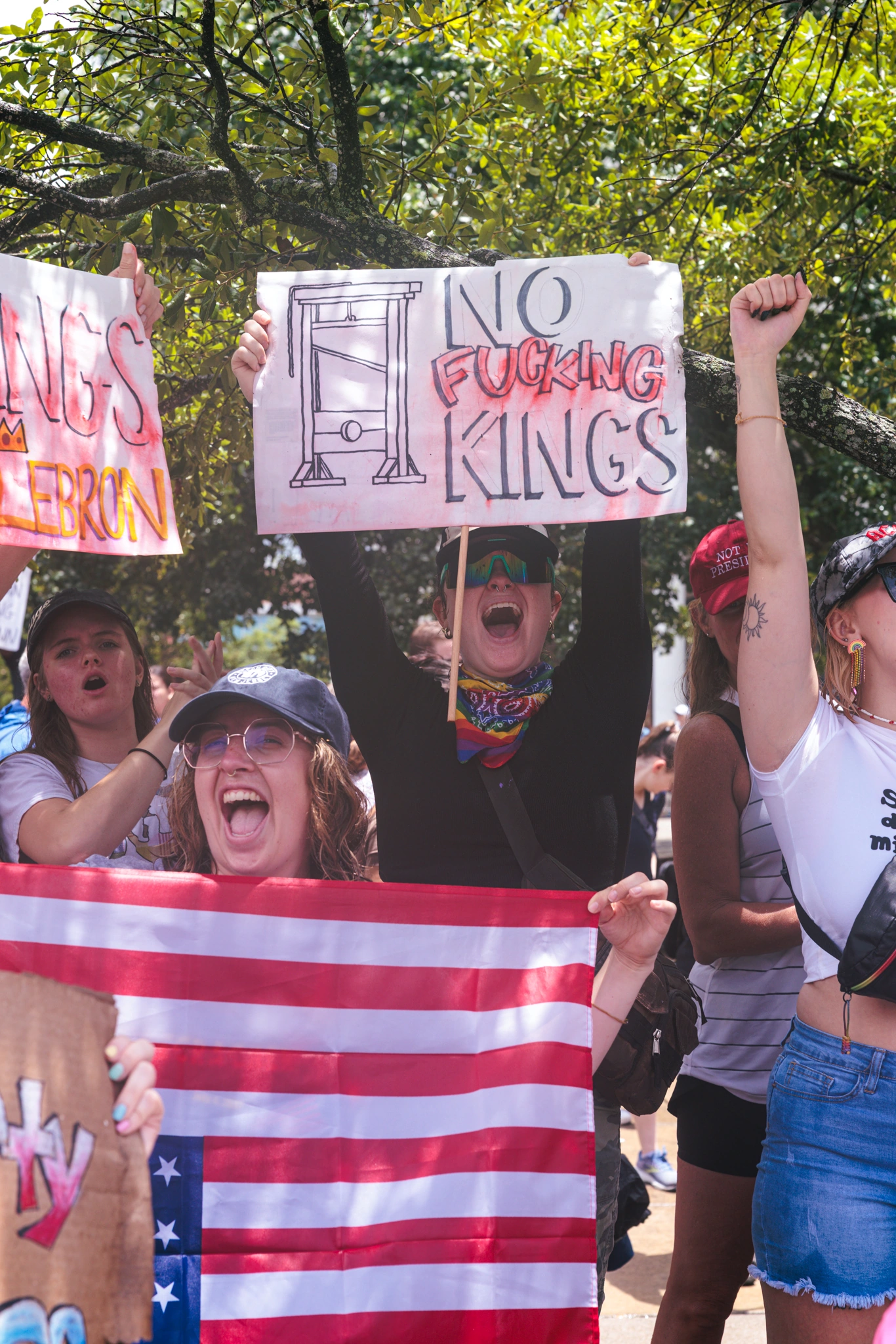 No Kings Protest photograph by Kevin Blackwell (3 of 50)