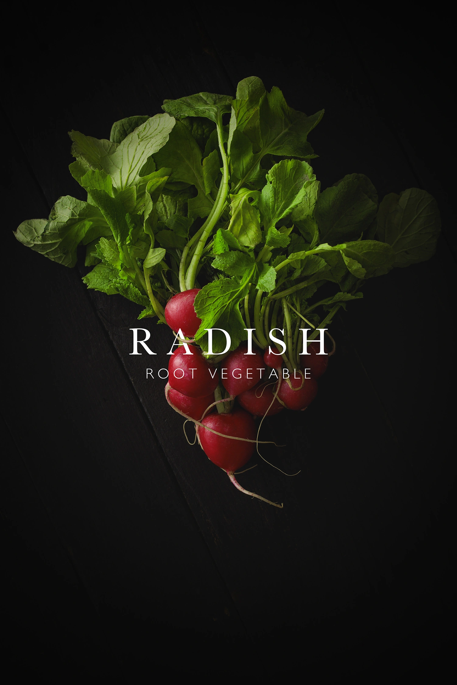 raddish product photography photograph by Kevin Blackwell